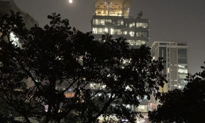 পেশাদার সিভি (CV) তৈরির সম্পূর্ণ গাইড