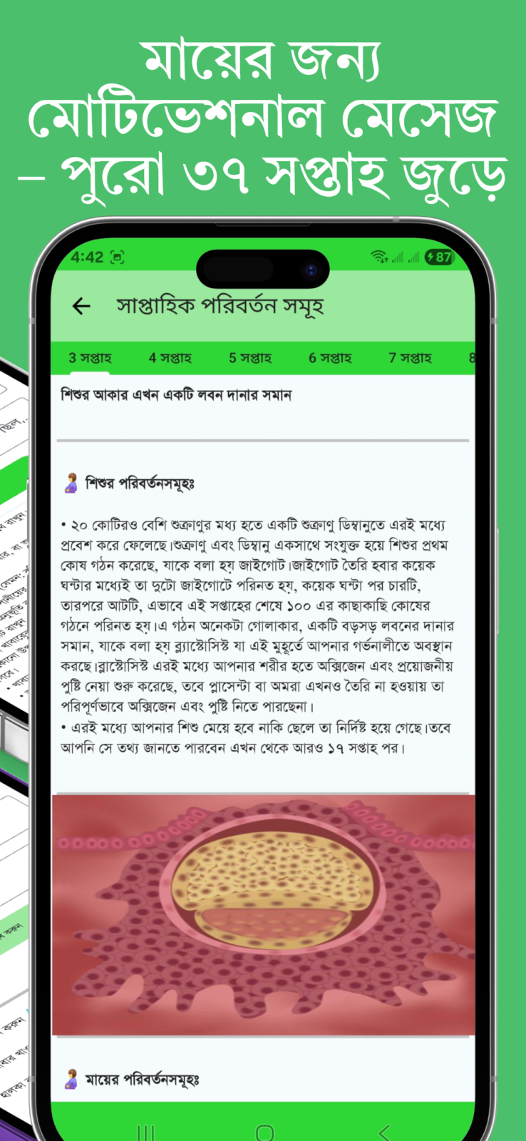 Pregnancy Apps Bangla