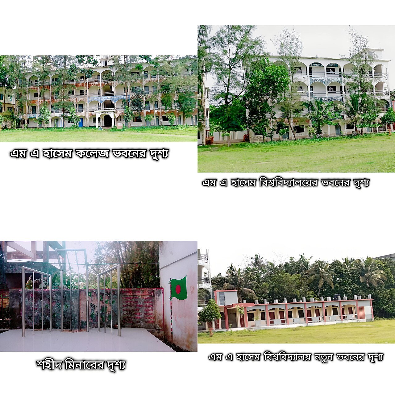 স্বাস্থ্য শিক্ষা অধিদপ্তরের সিদ্ধান্ত ঘোষণা
