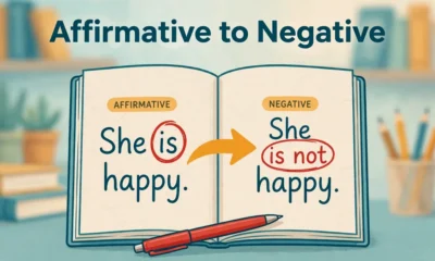 Affirmative to Negative নিয়ম — নোটবুকে ইতিবাচক বাক্য থেকে নেতিবাচক বাক্যে রূপান্তরের ইলাস্ট্রেশন
