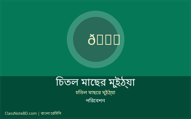 চিতল মাছের মুইঠ্যা রেসিপি: ধাপে ধাপে তৈরি করুন মজাদার মুইঠ্যা 4 চিতল মাছের মুইঠ্যা পরিবেশনের জন্য প্রস্তুত
